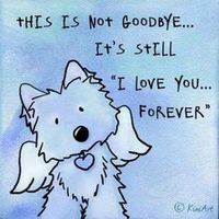 Dog Not GoodBye