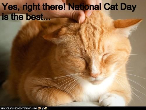 Nat Cat Day Pet.jpeg