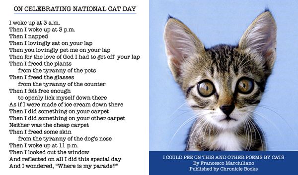 national-cat-day-poem.jpg