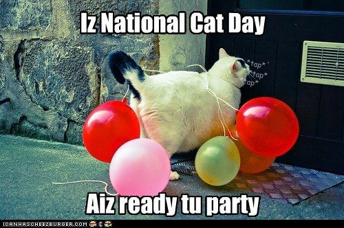 Nat Cat Day.jpg