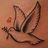 dove with peace branch avatar.jpg