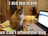 kkklllfunny-pictures-cat-did-the-math-and-you-cannot-afford-the-dog.jpg