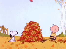 snoopy fall leaves.gif