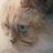 kitty icon (5) - Copy.jpg