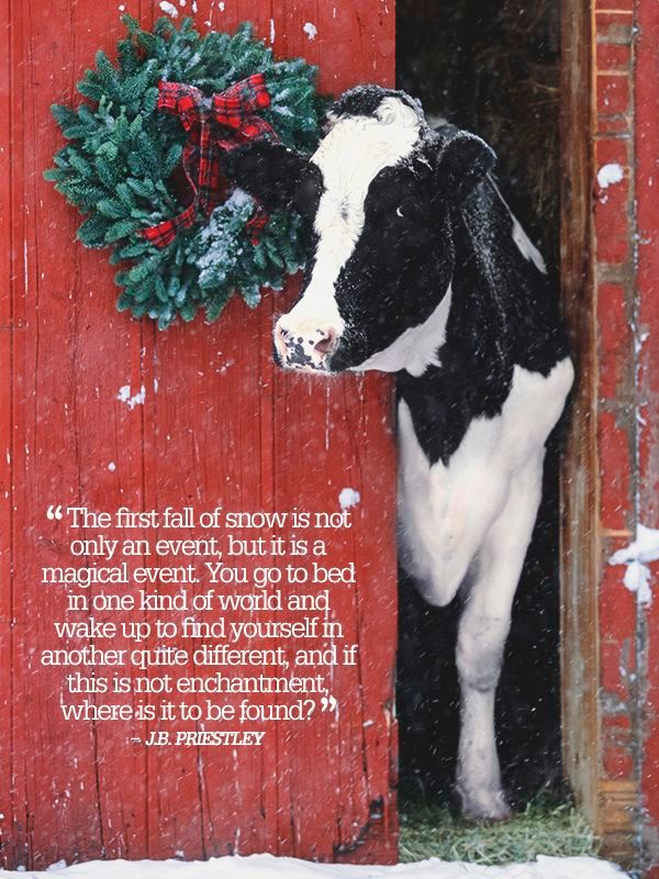 1d742493652daaa9d88e56917f7dda85--christmas-inspirational-quotes-famous-inspirational-quotes - Copy (2).jpg