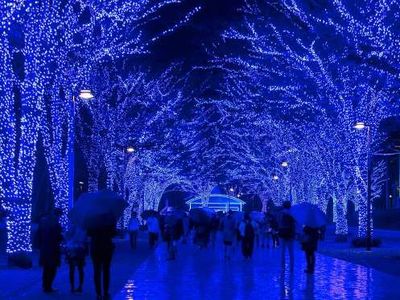 Winter Illuminations, Tokyo, Japan.jpg