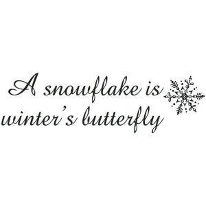 32aac5921a0cda8785b4173026287750--snow-quotes-winter-quotes.jpg