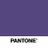 pantone purple.jpg