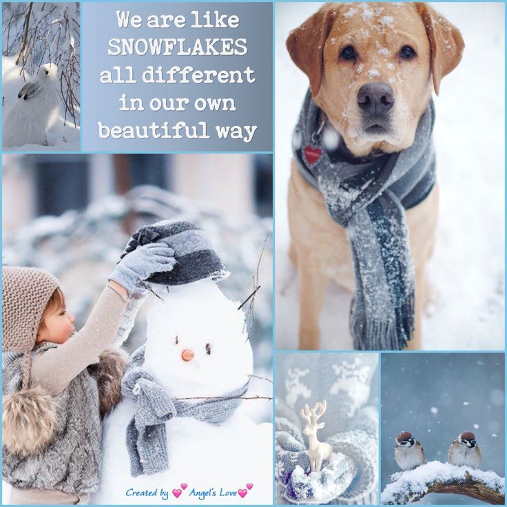 12e9d8fd7f51e5bd458163216fc9a4ea--photos-bleu-collage-foto - Copy (2).jpg