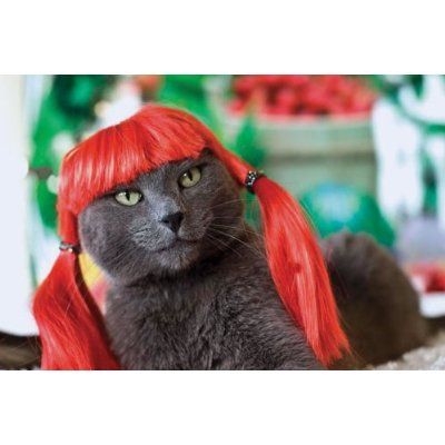 kitty-with-red-wig.jpg