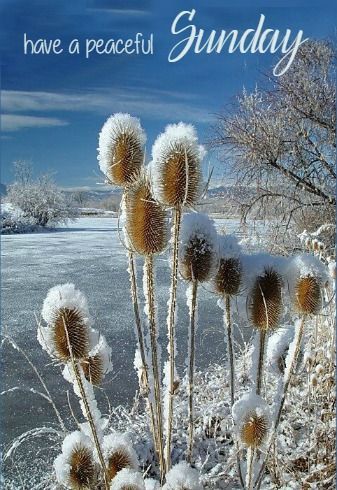 8f772c96e12ca1ae00399d4aa612402a--sunday-funday-sunday-quotes - Copy (2).jpg