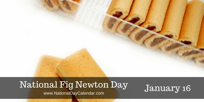 National-Fig-Newton-Day-January-16.jpg