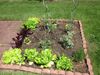 Veggie Garden 2014.JPG