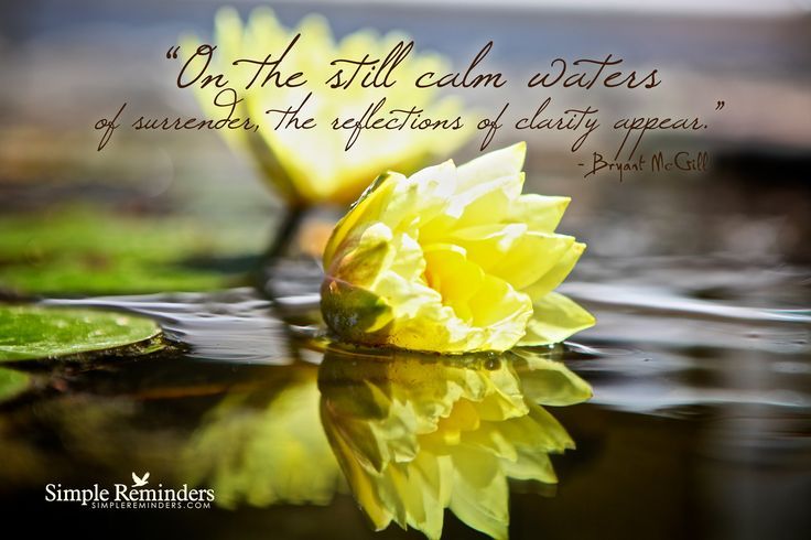 de0e0e570ee262e0ce570e9b12b674a6--water-gardens-spiritual-inspiration - Copy (2).jpg