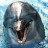 avatars-dolphins-881904.gif