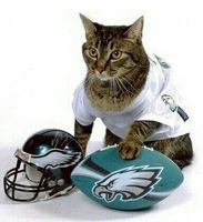 02f20f1f6048fb52d53e5025f6fac170--eagles-gear-nfl-philadelphia-eagles.jpg