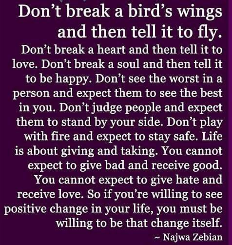 Don't break a birds wings and tell it to fly.jpg