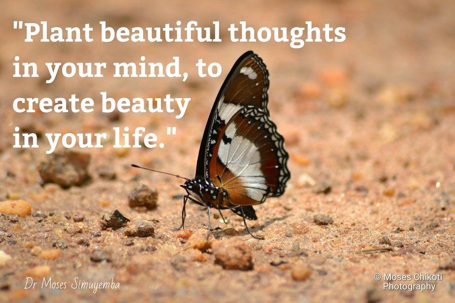 xPlantBeautifulThoughts.jpg.pagespeed.ic.ydiDrrsLiB - Copy (2).jpg