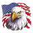 Eagle 2.png