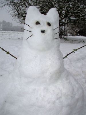 SnowCat.jpg