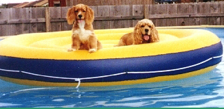 bo-and-bit-on-raft.jpg