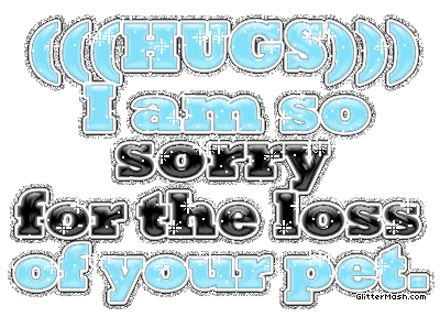 Hugs so sorry for the loss of your pet.gif
