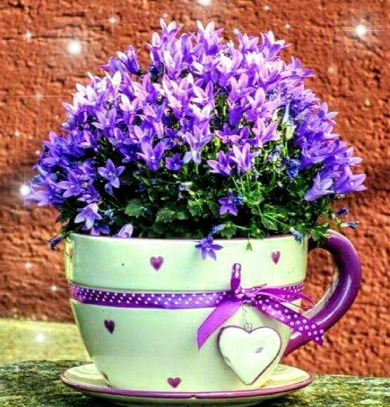 purple flowers in a purple polka dot mug.jpg