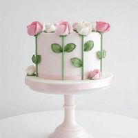 30cb847e599c0d912a6e74bc98184aec--sweet-cakes-cute-cakes.jpg