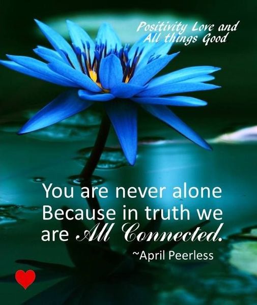 You are never alone because in truth we are always connected.jpg