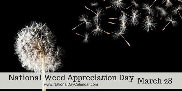 National-Weed-Appreciation-Day-March-28-1024x512.jpg