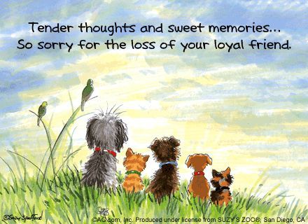 Tender memories and sweet thoughts on loss of pet.jpg