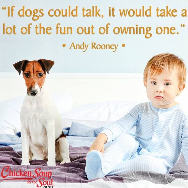 If dogs could talk it would take a lot of fun of owning one.jpg