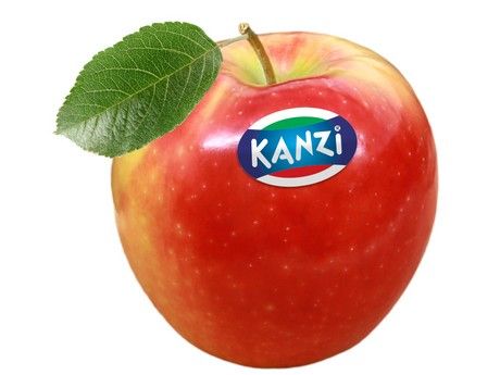 Kanzi