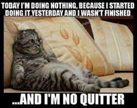 Q doing nothing kitty.jpg