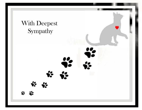 With Deepest Sympathy for Pet Loss.jpg