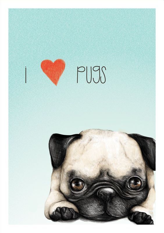 I love Pugs.jpg