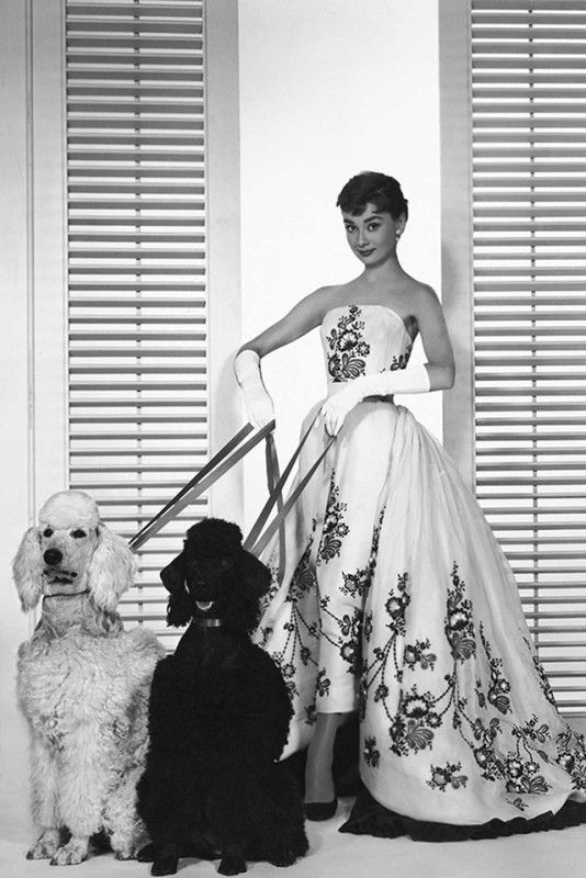 Audrey Hepburn