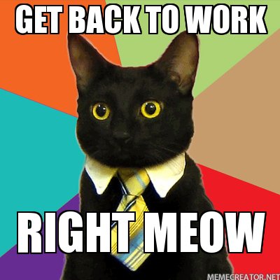Get Back to Work Right Meow!