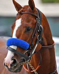 Justify