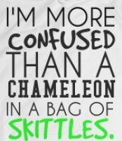 chameleon in skittles.jpg