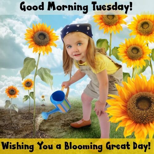 goodmorningtuesdayhavegreatdayquote.jpg