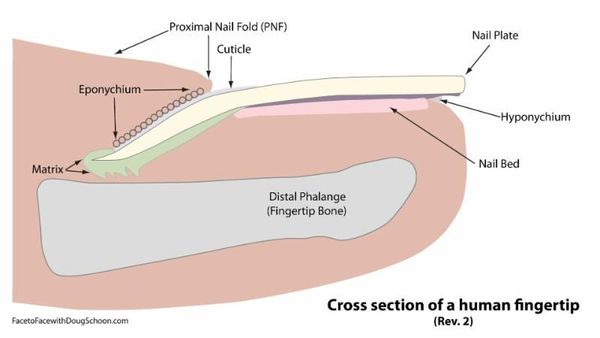 http___www.schoonscientific.com_wp-content_uploads_2017_01_fef5fd63-c9e0-4ff6-85f9-9226d33cee72.jpg