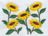 Embroidered sunflowers.jpg