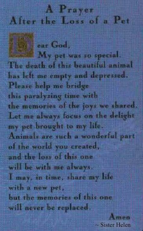A prayer for the loss of a pet.jpg