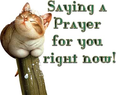 Cat saying a Prayer