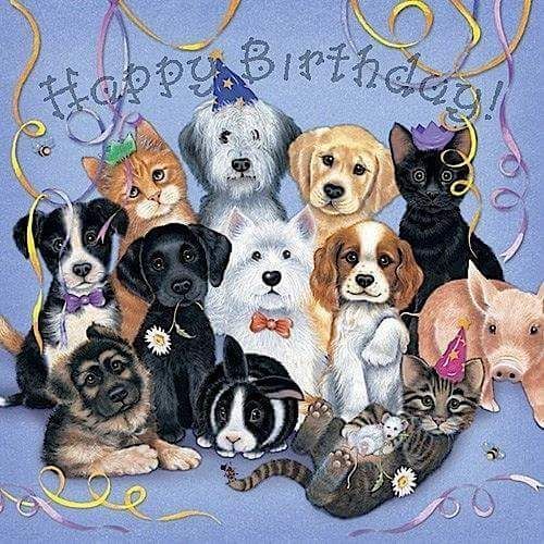 Happy Birthday with dogs and cats.jpg
