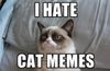 grumpy cat hate cat memes.jpg