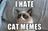 grumpy cat hate cat memes.jpg