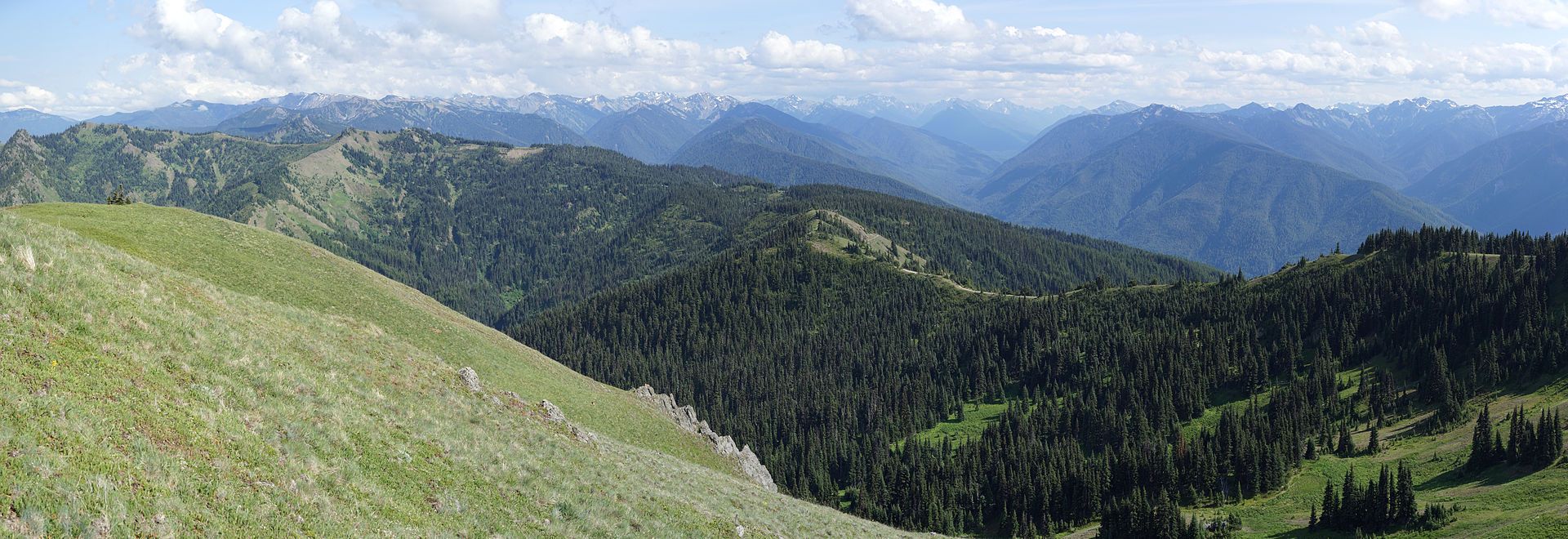 Hurricane_Ridge_panorama_2.jpg