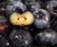 blueberries-with-one-sliced-through-the-center-to-show-seeds.jpg